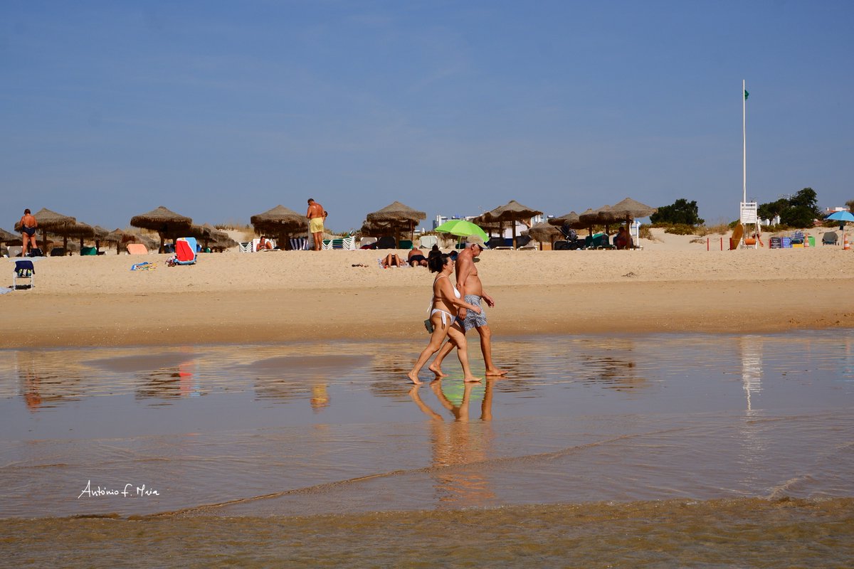 antoniofmaia1's tweet photo. Dourados de sal,
o brilho que nasce da pele depois de atravessar o mar.
© António F. Maia
Photography © antoniofmaia – All Rights Reserved 2026
#praia #mantarota #casasdanespereira #evasão #amigos
#coreografiasbaneares #jogosdesombra #alfaromeostelvio
#neverstopexploring https://t.co/zfdMAIFBRK