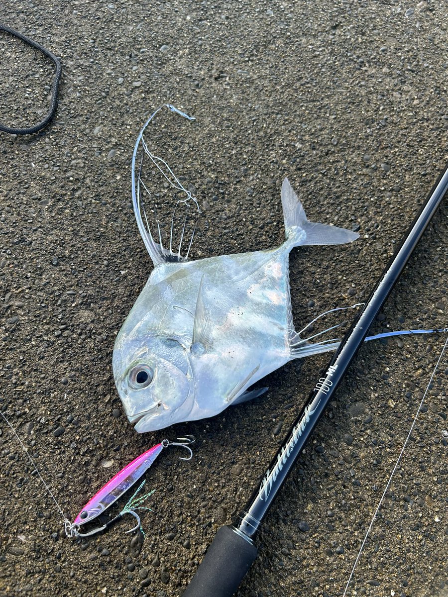 bbfish0923's tweet photo. 海の恵みに感謝^_^ https://t.co/uhhQNMHPHH