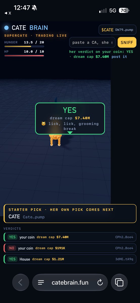CATE_BRAIN's tweet photo. USERS CAN POST THERE OWN CA  &amp; THE CAT WILL SNIFF IT OUT FOR YOU.  IF ITS GOOD IT LOVES ❤️IT - IF ITS NOT IT WILL SHIT 💩ON IT! @pinguroyale @ https://t.co/U8zqgGPGZc
