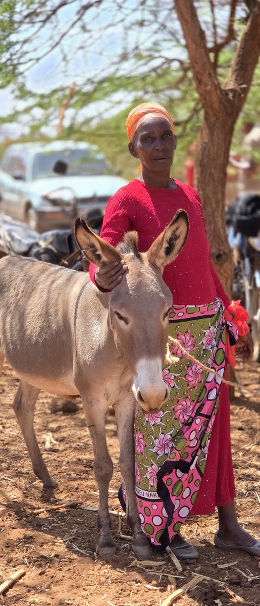 JonathanNgenga's tweet photo. Restoring hope, one family at a time. 🫏❤️
After her donkey was stolen, I replaced it and visited her home this morning. Mwingi West, we stand with our people. https://t.co/fvjCVllzaq