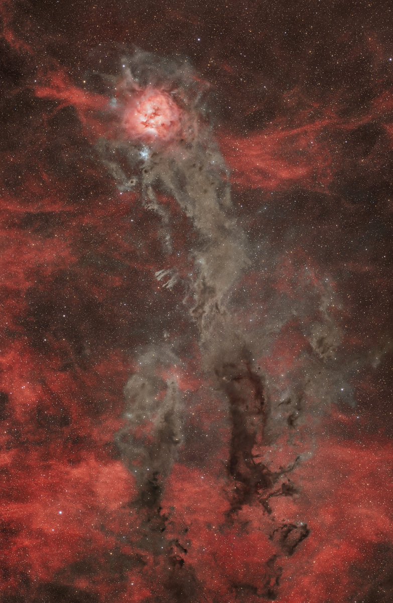 sen_meneses's tweet photo. Nebulosa Cocoon o Ic5146 entre las constelaciones de Cisne y Cefeo.

53 horas en total.

🔭 Esprit Ed 550/100 .
🔭 Montura Eq6r pro.
📸 Zwoasi 2600mc pro.
Filtros L-pro y L- ultimate de Optolong.

Desde Pedro Bernardo,Ávila.
#cielosESA
@PlanetarioMad 
@StellariumA https://t.co/hpkoV0PtEI