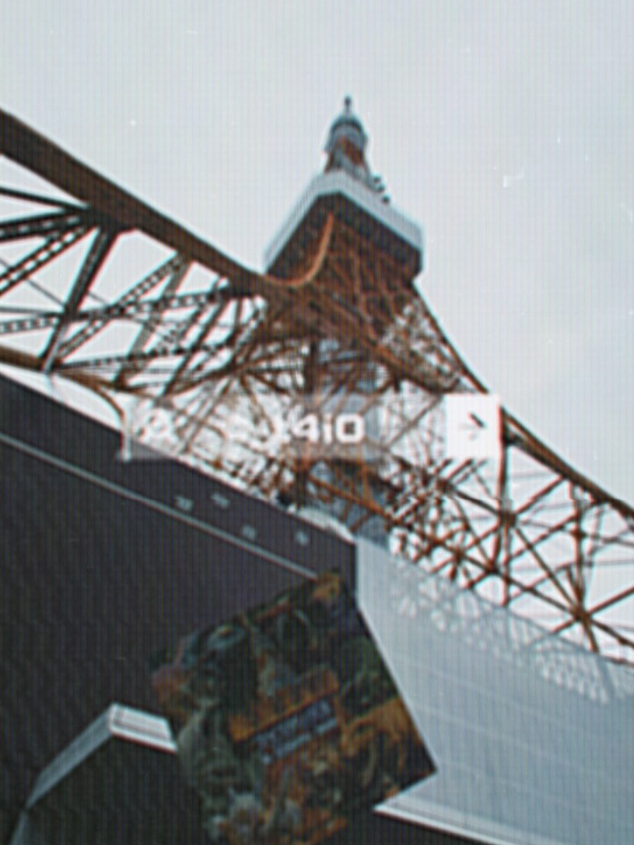 _t4i0's tweet photo. 心が小学生なので、恐竜やら最強やらに惹かれるし興奮する。天気悪かったから登らなかったけど、東京タワーも増上寺も久々に見た。結構楽しくて満足。 https://t.co/s1fCrTj9im
