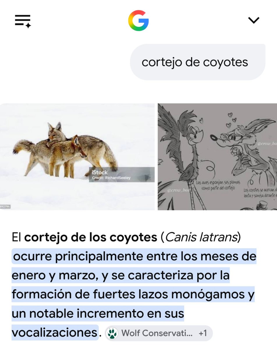 SIRENMIMIC's tweet photo. No me lo van a creer 🤓 https://t.co/mhjeSiTsfp