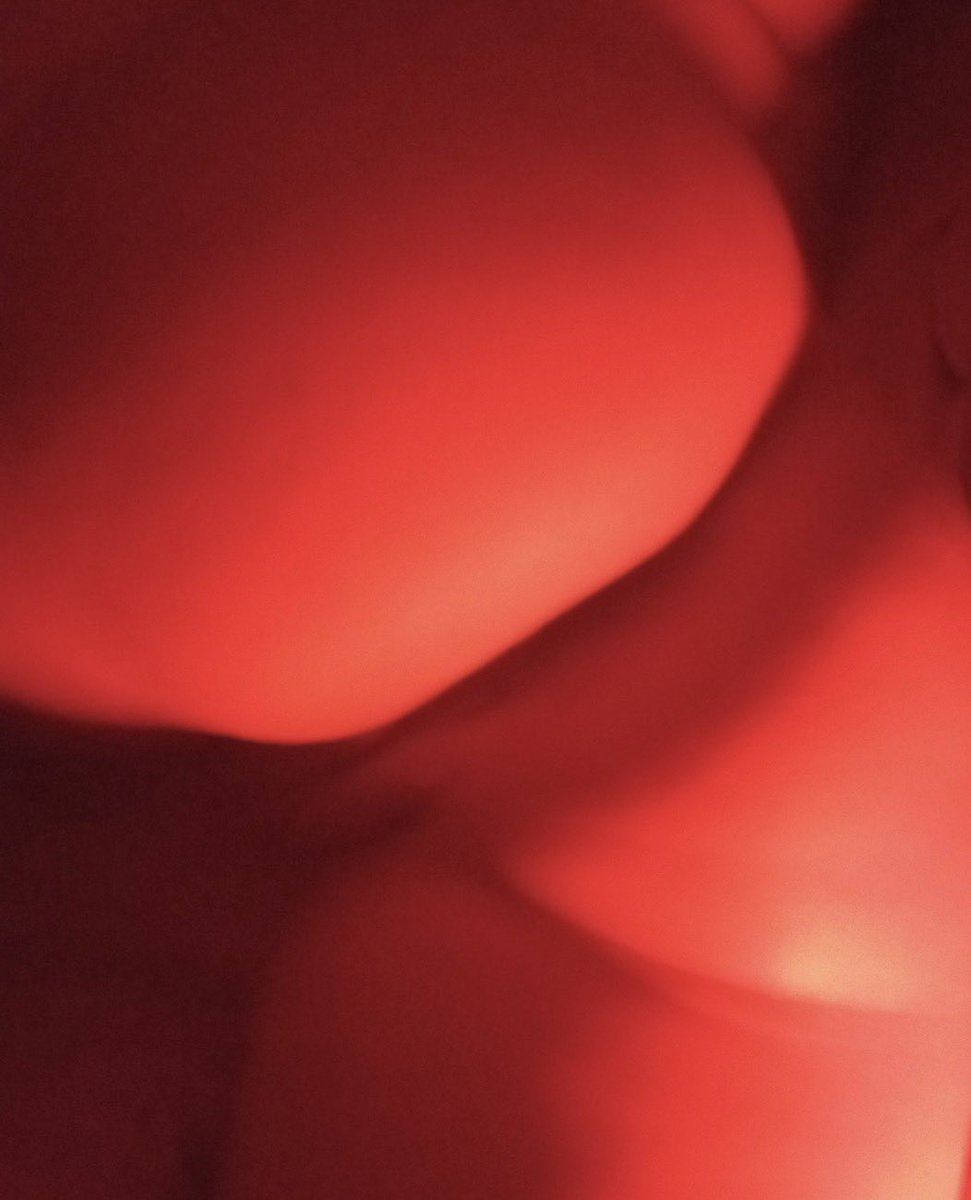 StrwDoll_'s tweet photo. Esta zorrita está muy pero muy cachondita 🤤✨ https://t.co/2ixY2Ovxrq