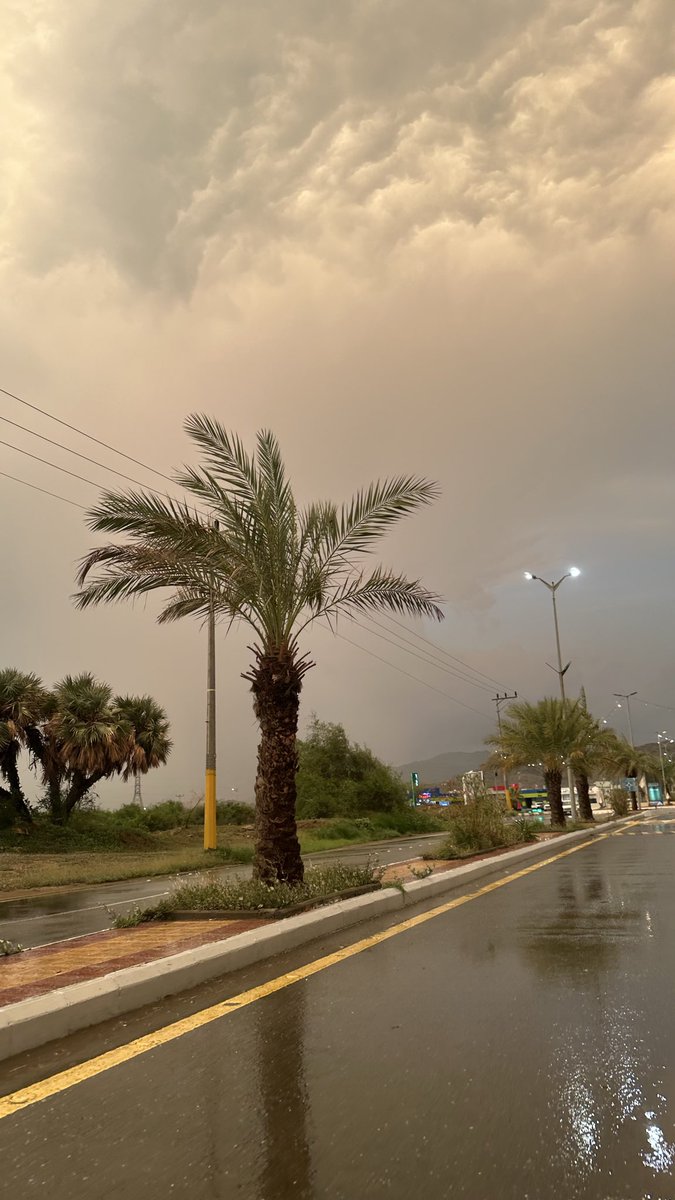 lam9__'s tweet photo. يعجبني سبتمبر شهر الامطار بالجنوب 
الناس معلقين على اغسطس بس https://t.co/vE9lBH6UZa