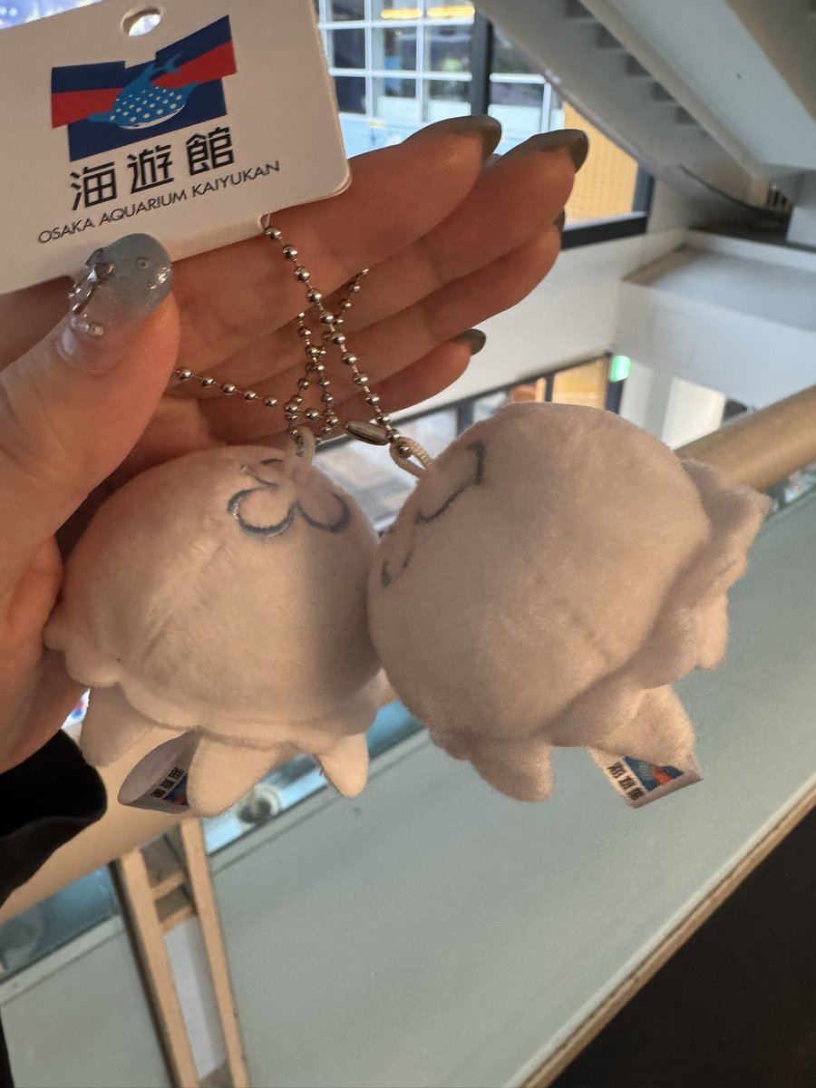 mea_pocket's tweet photo. 海遊館行けて嬉しい🎀ིྀ
ホラー映画はびびりましたこわかったです
内容は理解してませんむじぃよ
鞄に付けるキーホルダー増えてゆく⭐️ https://t.co/DS98AXHNtQ