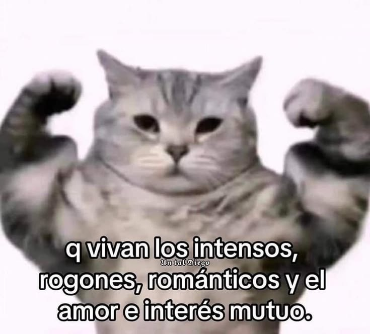 pedrodiasrbpvz's tweet photo. https://t.co/KLksApSTg0
