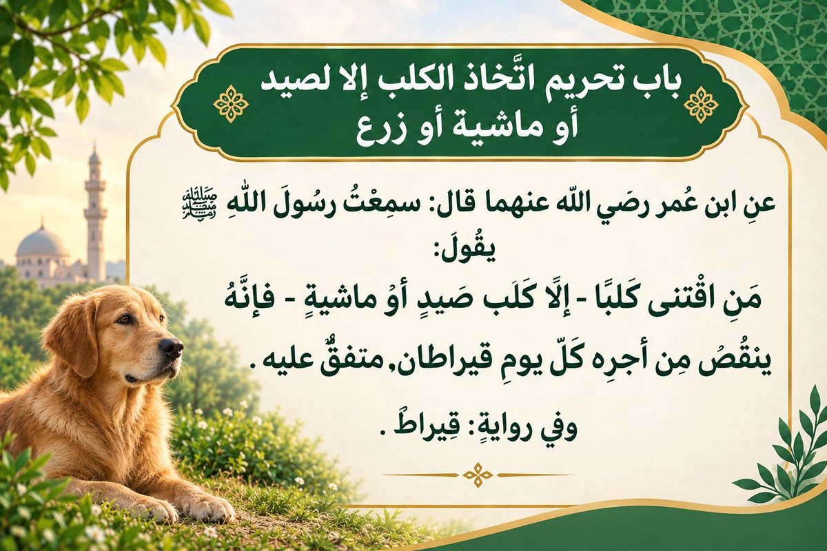 bo_rashed71x's tweet photo. https://t.co/q9QHqX82xP