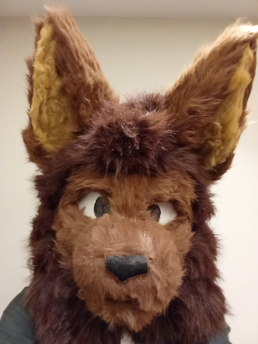 Arksines's tweet photo. Fursuit head fix plan:
1. Fix the spotty fur
2. Trim the fur
3. Add black lining
4. Make the eyes bigger
5. Make new eyes
6. Airbrush green onto the tips of the mane

I made this in three days total as my first fursuit head, I'm amending the mistakes of my past- https://t.co/24CNpCL1bd