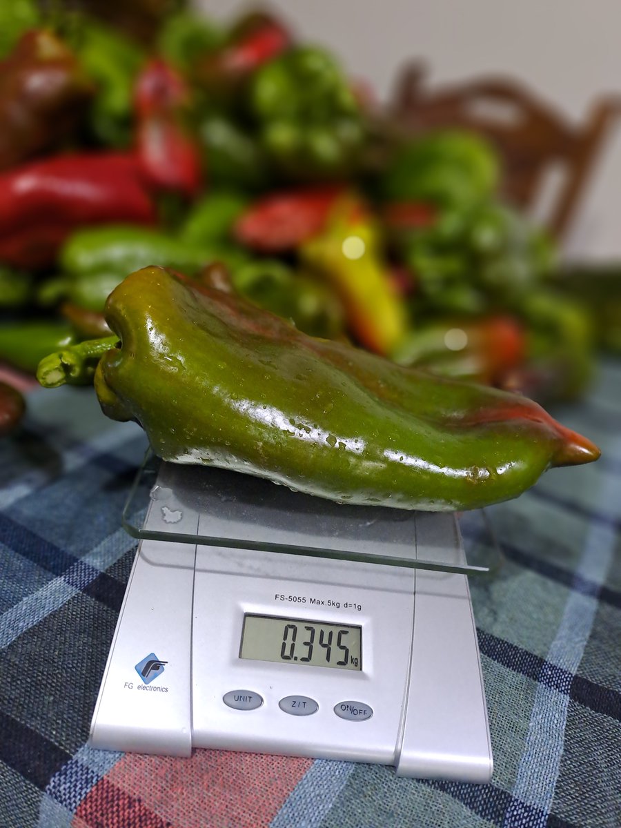 studenicki's tweet photo. Domaćinska...🌶️
#studenica https://t.co/3bd8ZhEbVu