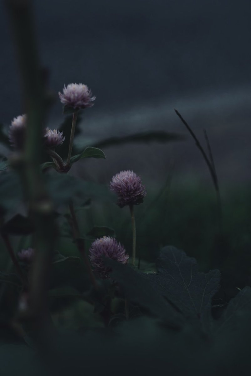 Rei0AM tweet picture