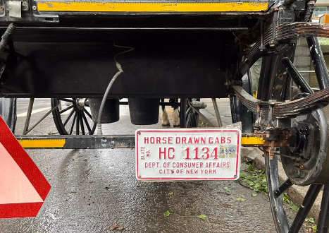 NMBewitched's tweet photo. Nor'Easter
Dear @NYCMayor @SpeakerMenin @Teamsters
Why are horses carriages on the streets of NYC under a State of Emergency during a Nor'easter?
The citizens of NYC want a ban.
160 yrs of fighting this cruelty & you still cannot deliver a resolution.
Horses die, people die; it is ok as long as the Union is happy & there is money to be made.
#Disgusting
From NYClass