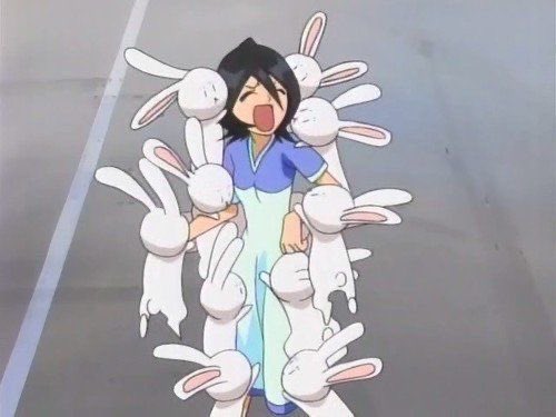 himekrosaki's tweet photo. happy kuchiki rukia day https://t.co/GZmWX36Ajb