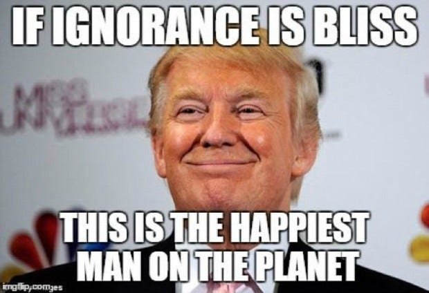 MarcCooper65522's tweet photo. @realDonaldTrump https://t.co/MaLMN0CbfQ