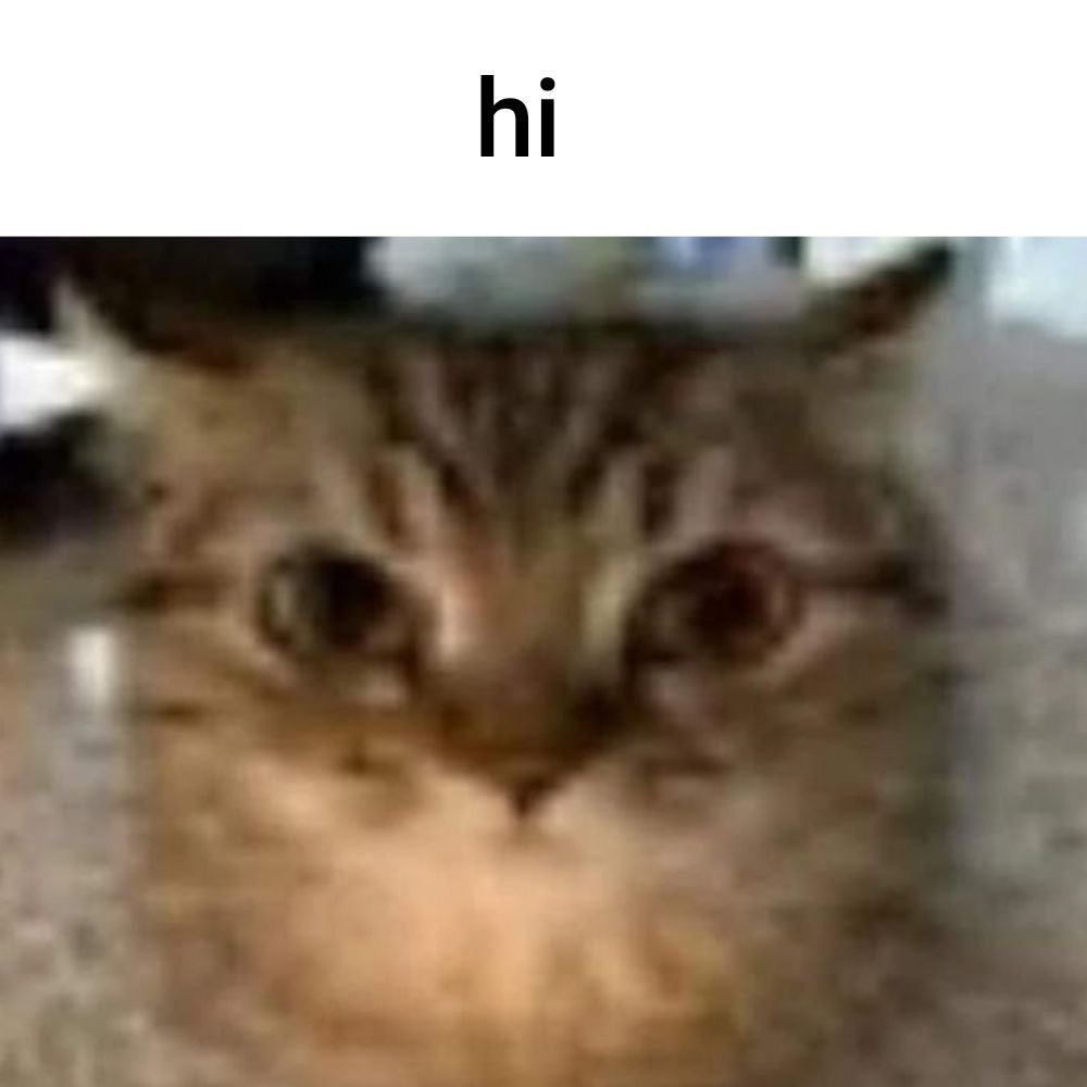 CatBlep's tweet photo. https://t.co/Ksz7fJog62