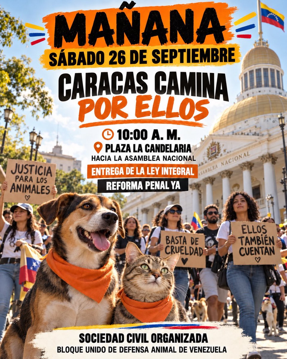ElNacionalWeb tweet picture
