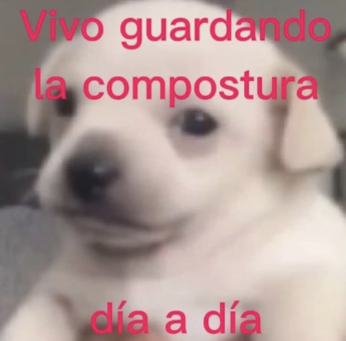 conoloracigarro's tweet photo. https://t.co/fh7GPBLFy1