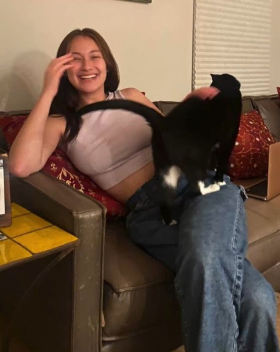 lolaspumpkin's tweet photo. the bellyconrad cat parents vision... https://t.co/1WY9kmJPxo
