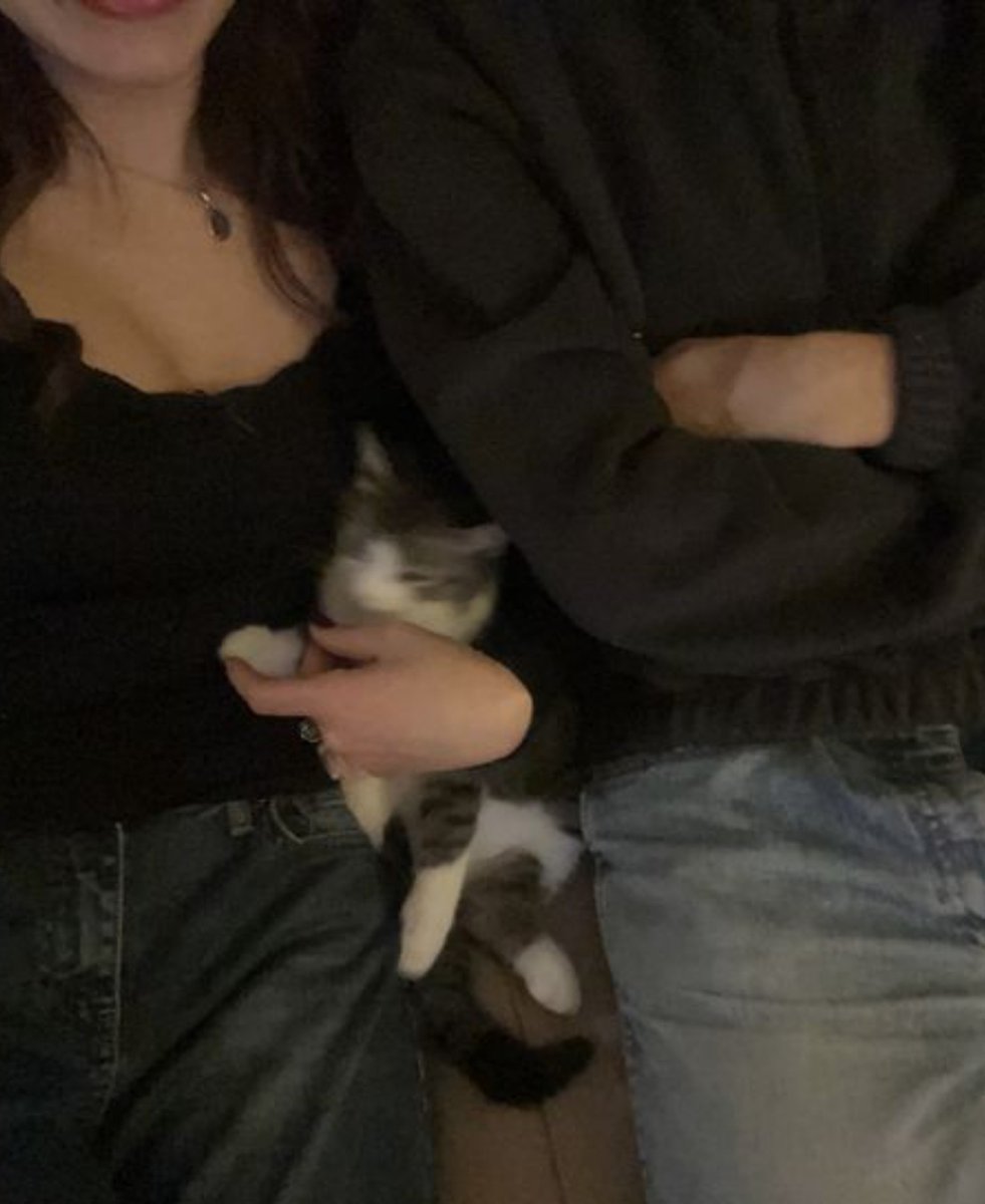 lolaspumpkin's tweet photo. the bellyconrad cat parents vision... https://t.co/1WY9kmJPxo