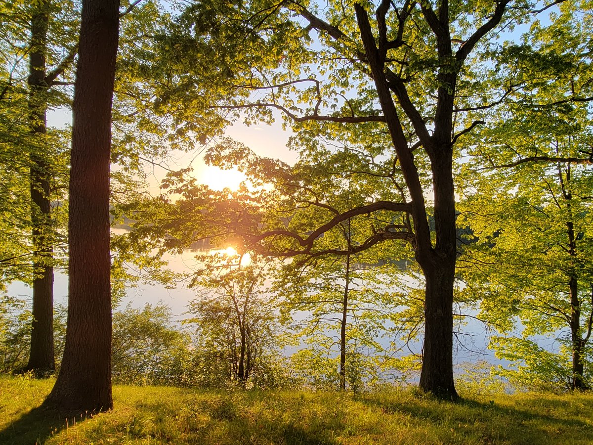 ohiodnr's tweet photo. Ohio is home to thousands of acres of public lands, each offering opportunities to explore the outdoors🌳

On National Public Lands Day, we're celebrating the parks, forests, wildlife areas, &amp; nature preserves that protect Ohio's natural resources &amp; provide places for recreation! https://t.co/yxfo9Qj0TI