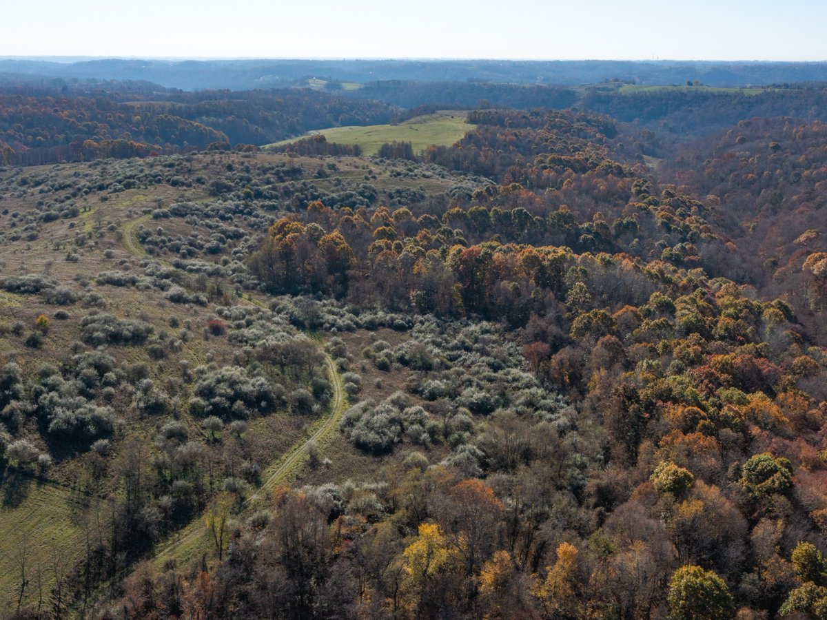 ohiodnr's tweet photo. Ohio is home to thousands of acres of public lands, each offering opportunities to explore the outdoors🌳

On National Public Lands Day, we're celebrating the parks, forests, wildlife areas, &amp; nature preserves that protect Ohio's natural resources &amp; provide places for recreation! https://t.co/yxfo9Qj0TI