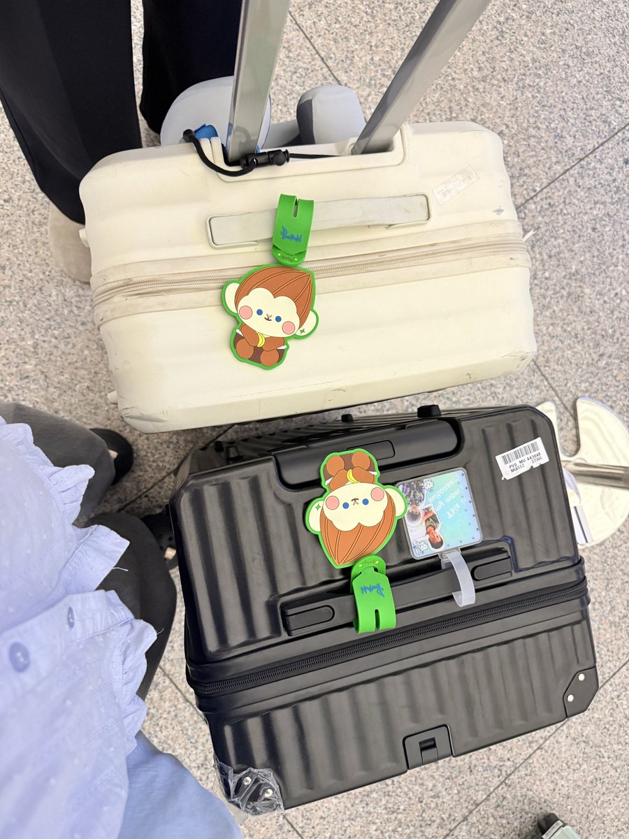 yyywt617's tweet photo. See you next time✈️
#APFANDAYxVIETNAM
#AlmondProgress
#Almondbabybigboy #ProgressPassawish
#PSPW #ด้อมภภ https://t.co/2twV0kREOb