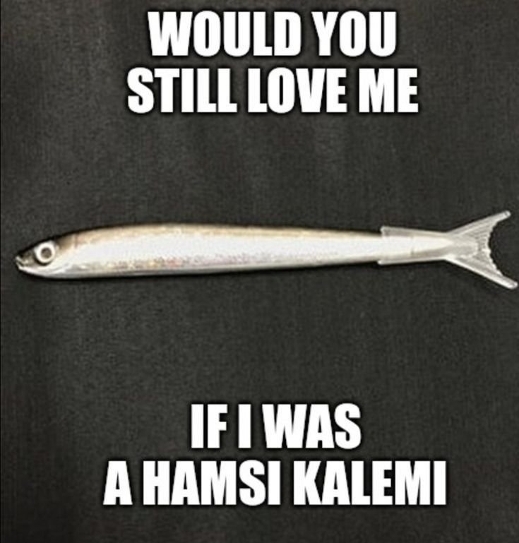 asikolamiyoru's tweet photo. ?? https://t.co/f9WSb8cqsv