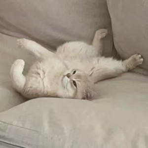 0xwolffman's tweet photo. 09-26反思：

DDOS ， 这个是polymarket发的新闻，说X money底层代码逻辑有问题。冷静之后定盘后，我再上的；高点200万就要立马卖的，以后面对这种叙事，200万就要出大部分了

Unicoin ，亏了3刀，还是太着急了，总是追高。又没等定盘后再上。 https://t.co/38XExtW2ya