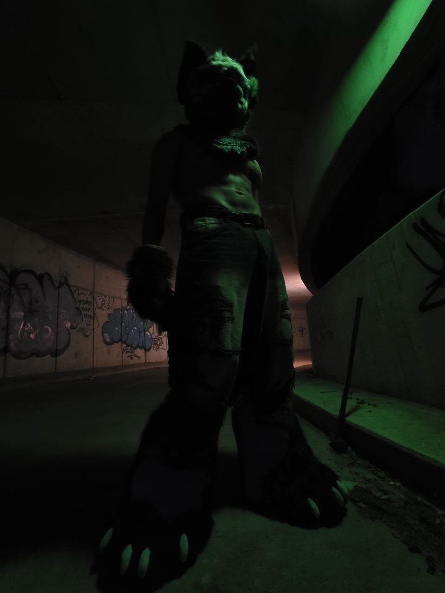 DexJackal's tweet photo. Sometimes the best fursuit 📸 photos come from the strangest places 🤯

#furry #fursuit #FursuitsEveryday #gayfurry https://t.co/4ispGi1S6g