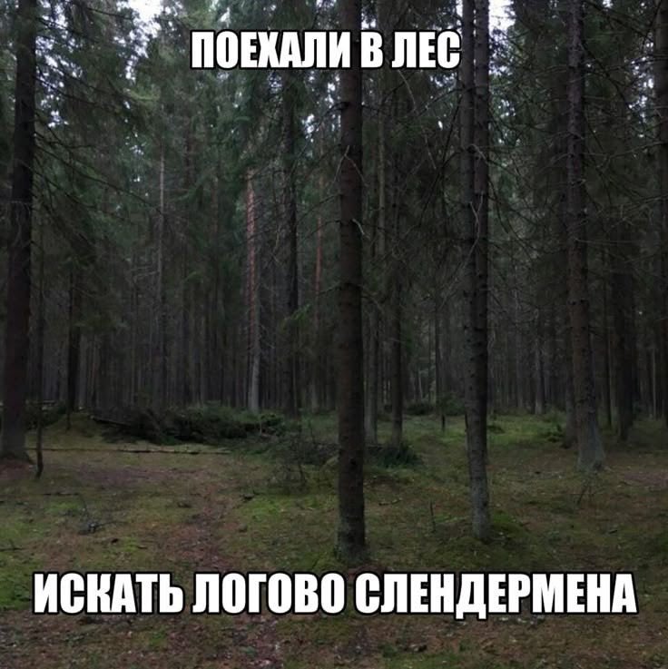 lleuxvt's tweet photo. братва, кто со мной? https://t.co/Qbf6AxrA7S