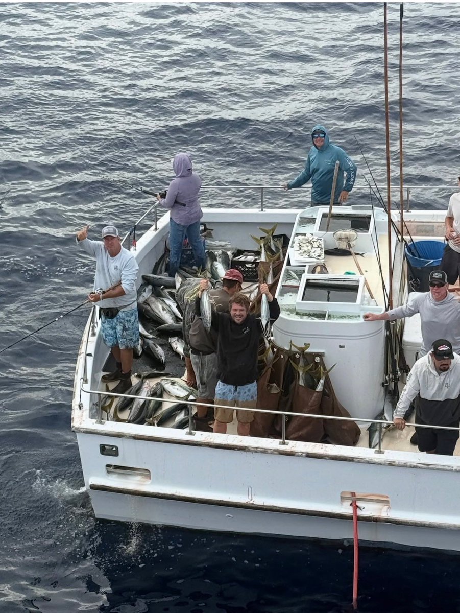 therealTophurC's tweet photo. #805 Tuna &amp; Tails
Best 1 day trip ever on the Aloha Spirit Hats off to Capt. Pat ,Zach and Evan
#tuna #Elnino2026 #Sportfishing #yellowtail #channelislands https://t.co/y1T6IQT8si