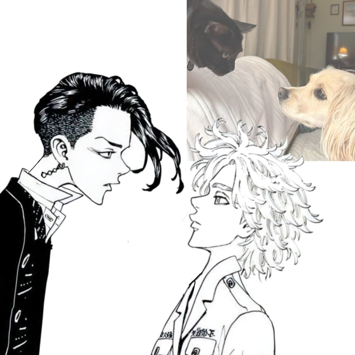 Boyarrush's tweet photo. #kokonui #inukoko https://t.co/Gy9fBpzCjX