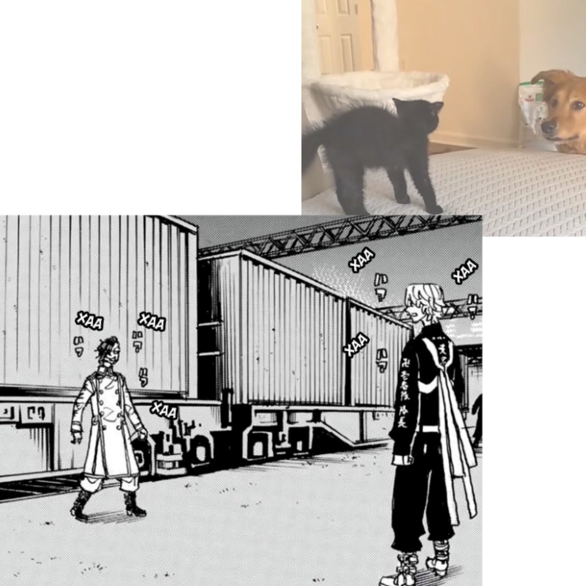 Boyarrush's tweet photo. #kokonui #inukoko https://t.co/Gy9fBpzCjX