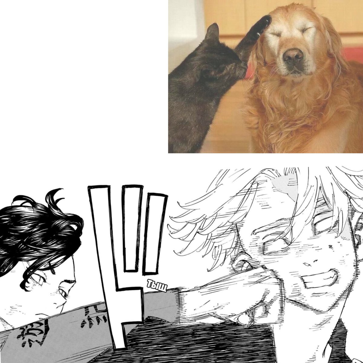 Boyarrush's tweet photo. #kokonui #inukoko https://t.co/Gy9fBpzCjX