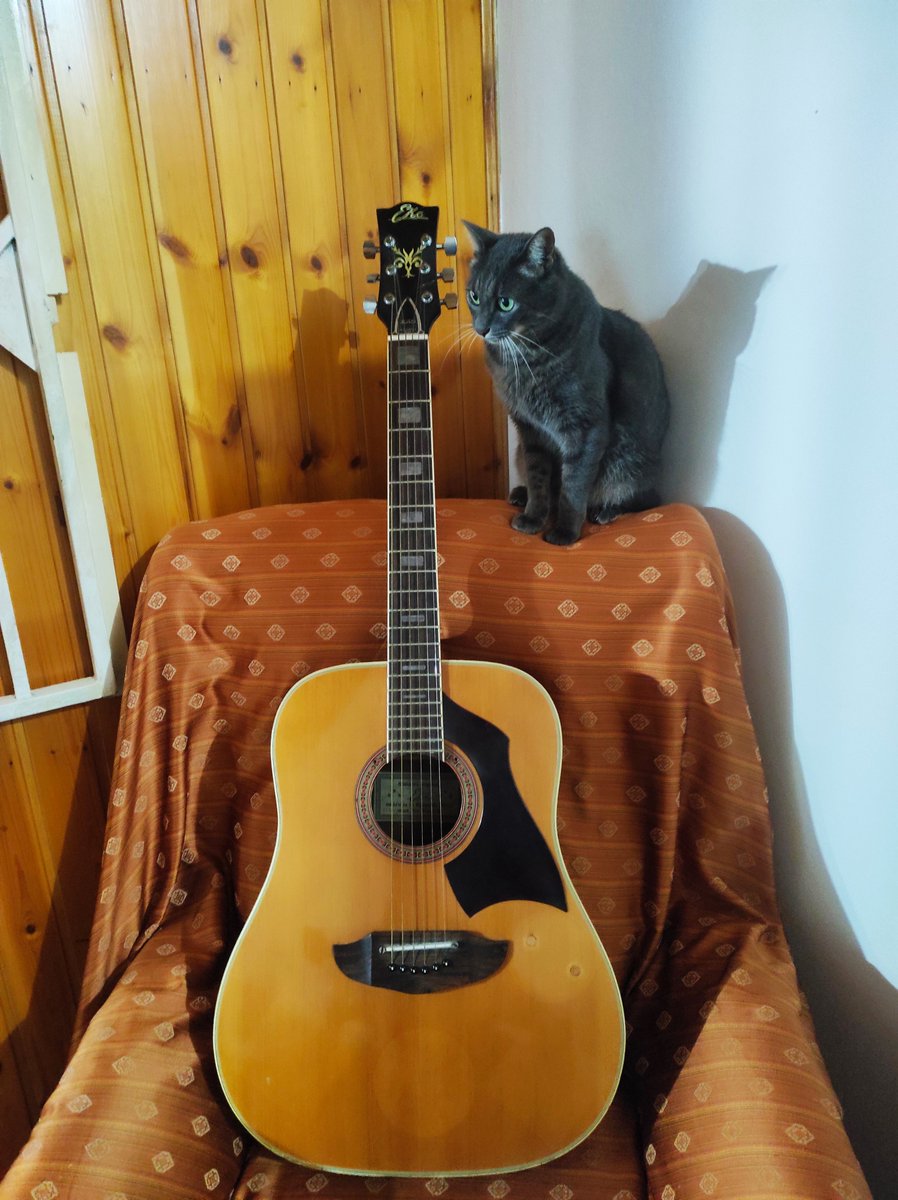 gianni_runco's tweet photo. Se la chitarra suonavo La gatta faceva le fusa ed una stellina scendeva vicina, vicina poi mi sorrideva e se ne tornava su. #GinoPaoli #LaGatta #Cleo #CantautoratoItaliano #MusicaItaliana #GrandiSuccessi #Gatto #Fusa #ChitarraEGatto #AmantiDeiGatti #Chitarra #ChitarraAcustica https://t.co/PRRNXJwXwm
