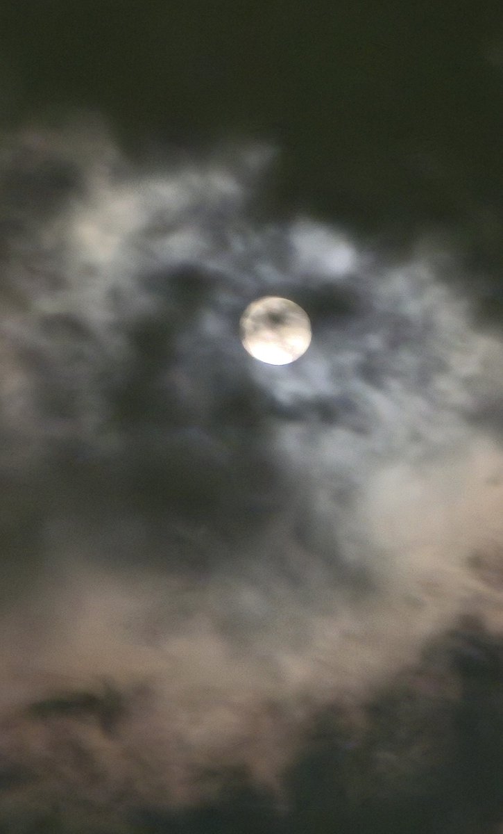 coldasbarf's tweet photo. Closer and closer to today's moon. https://t.co/HKEPgZMw4X