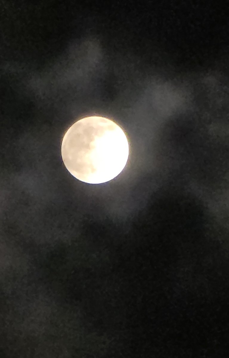 coldasbarf's tweet photo. Closer and closer to today's moon. https://t.co/HKEPgZMw4X