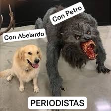 MarioRobertoP's tweet photo. Periodistas https://t.co/T7i3X7wufh