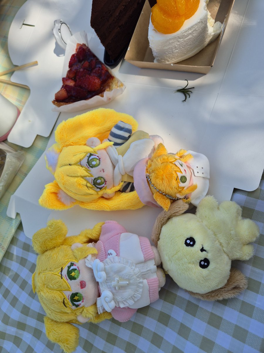 applechan_p's tweet photo. 제법 권력있는 피크닉을 즐기고 옴💛 날씨 진짜 지금이에요 지금을 즐겨 https://t.co/XGT8oJSSMX