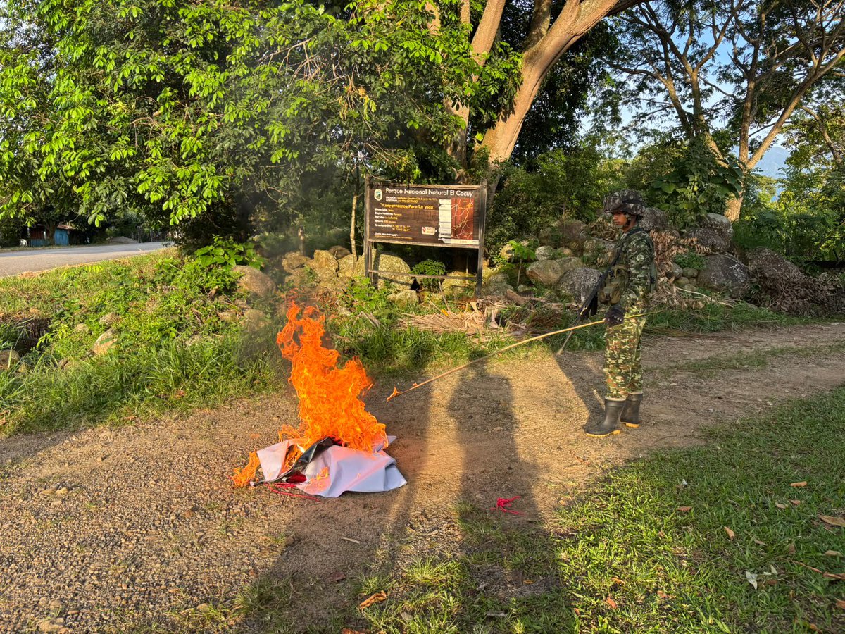 Ejercito_Div8's tweet photo. #LoÚltimo | En el desarrollo de operaciones militares, tropas de la Fuerza de Despliegue Rápido N.°8, Batallón de Despliegue Rápido N°24, realizaron el desmonte de una pancarta y un pasa calle, alusivas al grupo armado organizado frente Domingo Lain Sanz del ELN, instaladas en la vereda Alto Purare, zona rural del municipio de Tame, en la vía los libertadores, que comunica a los municipios de Sacama en el #Casanare, con Tame en #Arauca.

Con estas acciones se busca cerrar espacios a la propaganda e intimidación de las estructuras armadas ilegales, evitando que pretendan generar percepción de control territorial o afectar la tranquilidad de las comunidades.

El @COL_EJERCITO mantiene presencia y control en estos sectores, fortaleciendo la seguridad y reafirmando la presencia institucional en la Orinoquía colombiana.🫡🇨🇴
#PatriaHonorLealtad.