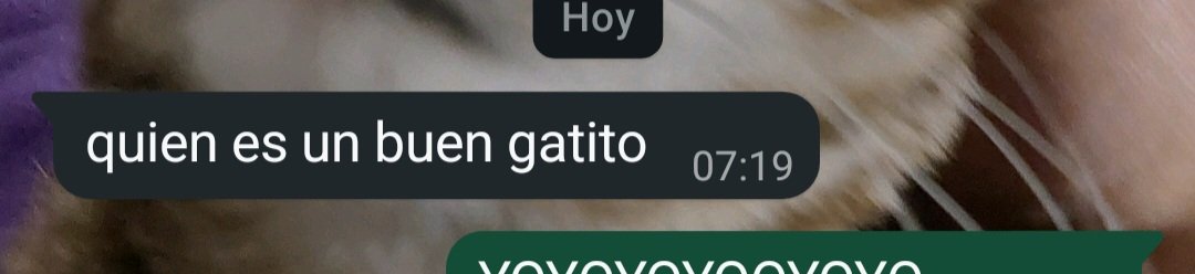 CloverPNG4u's tweet photo. AMIGO QUE CARAJOS ESTAS PERSONAS QUE VIENEN Y TE TIRAN ESTO, TIPO POR FAVOR ALGUN TIPO DE RESPETO HERMANO https://t.co/JXGP4JWPuR