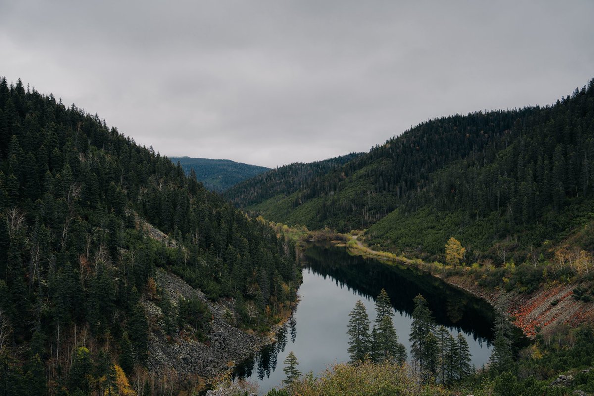 Arnoldo_AT's tweet photo. Tuvimos la fortuna de apreciar de cerca el grandioso Lago Amut en el Krai de Khabarovsk del Lejano Oriente Ruso. Sin duda, un momento que atesoro con la encomienda de seguir promoviendo la preservación de la biodiversidad y la conservación de los ecosistemas. 🌲🌏 https://t.co/Ocd8bTYifK