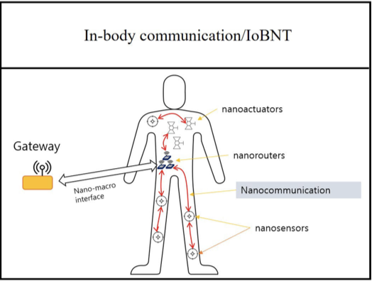 CorinneNokel's tweet photo. #IoBNT #InBody #NanoCom
Department of Electronic Engineering, Yeungnam University, Gyeongsan 38541, South Korea
This work was supported by the National Research Foundation of Korea (NRF) grant funded by Korean Government under Grant
2022R1G1A1004799
https://t.co/3kkuXgDqMv https://t.co/eXdYaQBpTP