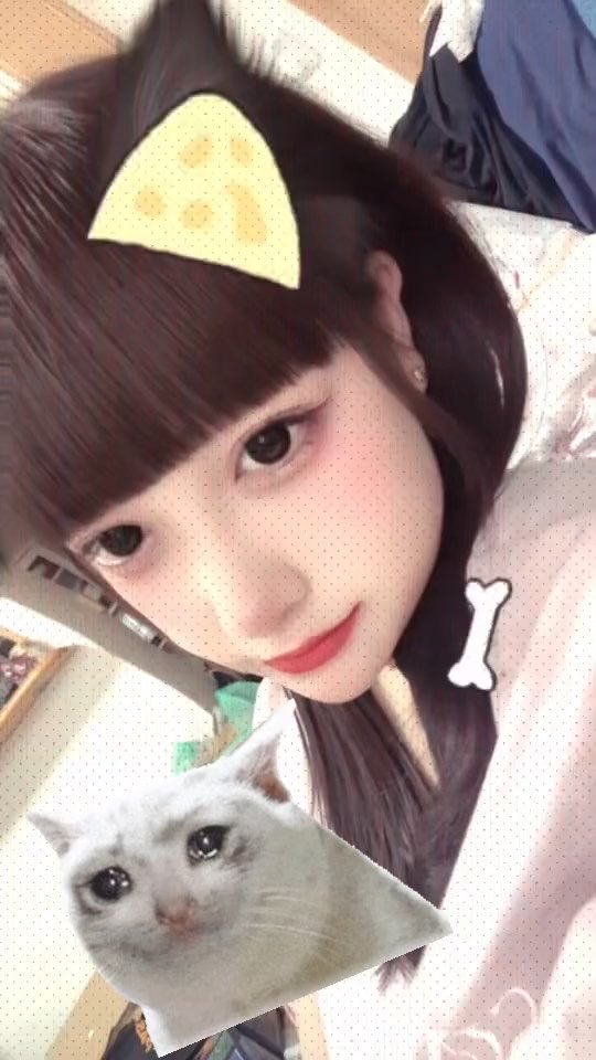 A selfie of a young woman with a cartoon cheese slice sticker on her forehead, holding a fluffy white cat, with a bone sticker near her shoulder.