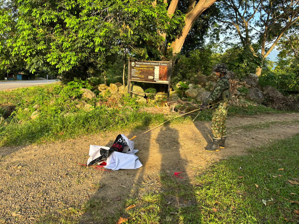 Ejercito_Div8's tweet photo. #LoÚltimo | En el desarrollo de operaciones militares, tropas de la Fuerza de Despliegue Rápido N.°8, Batallón de Despliegue Rápido N°24, realizaron el desmonte de una pancarta y un pasa calle, alusivas al grupo armado organizado frente Domingo Lain Sanz del ELN, instaladas en la vereda Alto Purare, zona rural del municipio de Tame, en la vía los libertadores, que comunica a los municipios de Sacama en el #Casanare, con Tame en #Arauca.

Con estas acciones se busca cerrar espacios a la propaganda e intimidación de las estructuras armadas ilegales, evitando que pretendan generar percepción de control territorial o afectar la tranquilidad de las comunidades.

El @COL_EJERCITO mantiene presencia y control en estos sectores, fortaleciendo la seguridad y reafirmando la presencia institucional en la Orinoquía colombiana.🫡🇨🇴
#PatriaHonorLealtad.