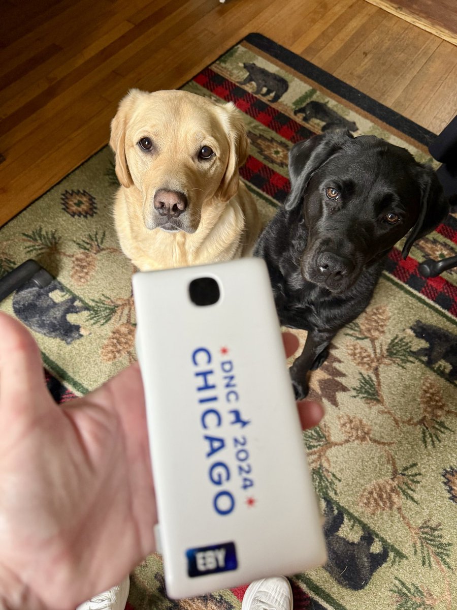 AndreaMcCarren's tweet photo. FOUND on my morning run in DC/MD. Tell me where you lost your #DNC power pack and it’s yours. #LostAndFound 

Yes, I am a magnet for lost goods. I’ve returned multiple credit cards, security badges, and even a wad of cash to their owners after finding them on my runs.

#Running https://t.co/Y44JfBmfFW