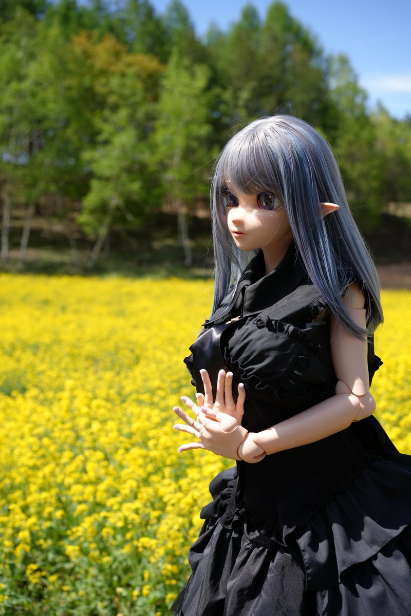 Astlute's tweet photo. 只今メンテナンスの為里帰り中ですが、幻想夢乙女のアストがうちに来て3年が経ちました！
実感が無いけどもうそんなに経ったのか😅
＃幻想夢乙女 https://t.co/PbDNSIISBU