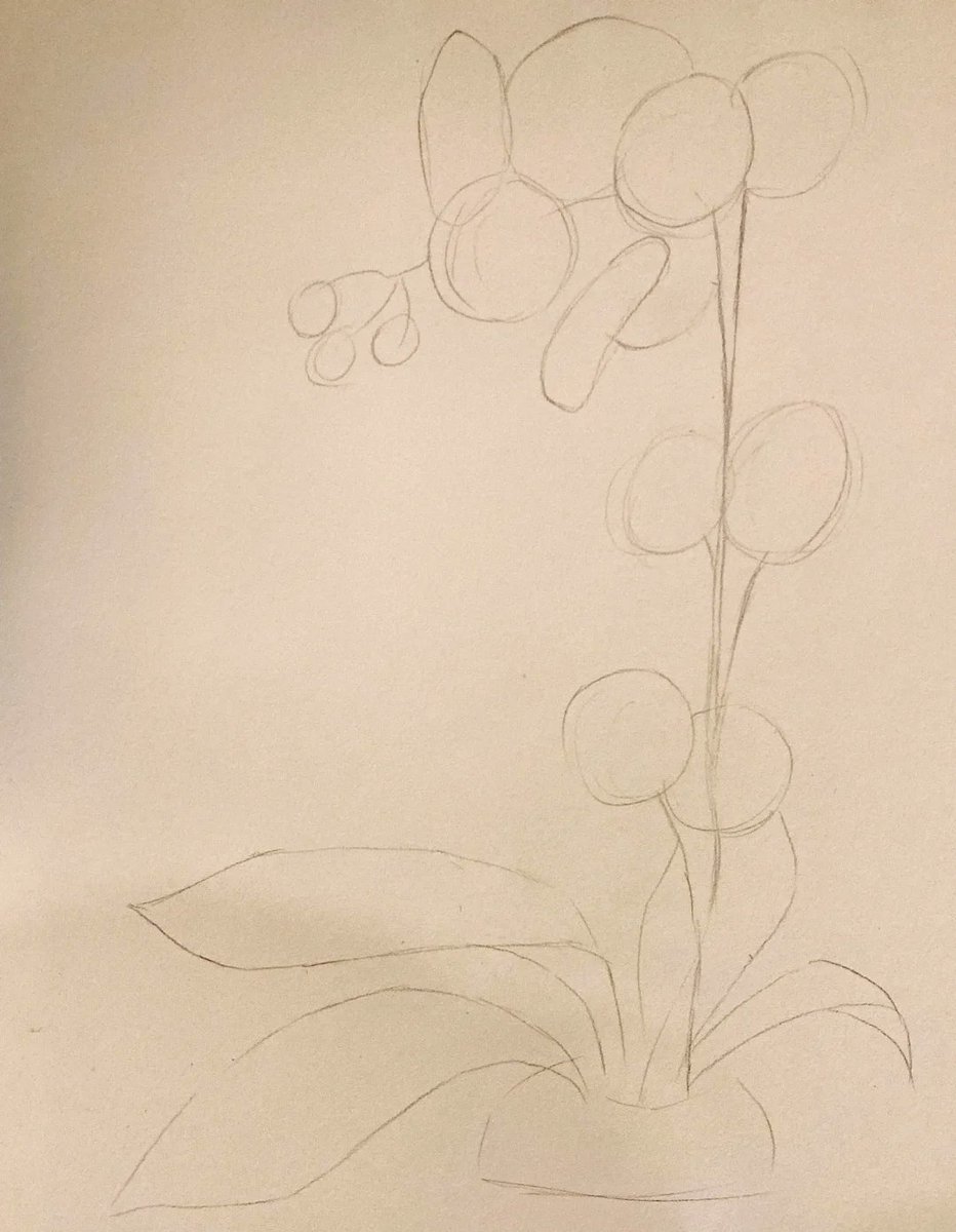 KindraBudzaa's tweet photo. Quieres aprender algo nuevo este mes Practica dibujo 15 minutos al día, la consistencia te hará mejorar sin esfuerzo! https://t.co/6kqvp7aG4j