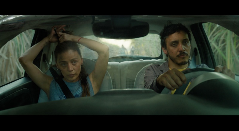 FICM's tweet photo. La segunda ficción de la realizadora mexicana-salvadoreña Tatiana Huezo, GALERNA, obtuvo el premio de WIP LATAM 2026 del Festival de San Sebastián 2026.

Leer más 🎬👉 [ https://t.co/ruitddmPzr ] https://t.co/TZhAchIXDZ