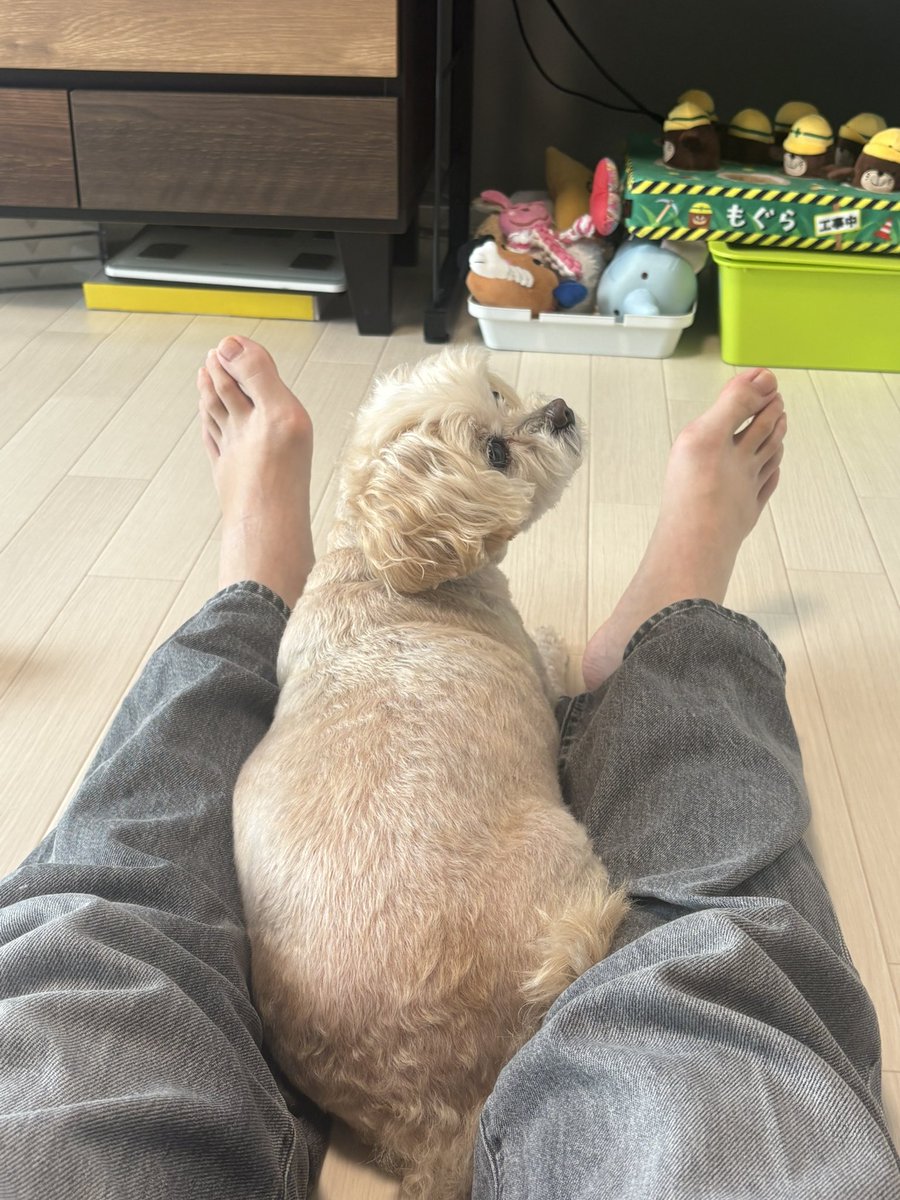 li3_chan's tweet photo. 9連休を https://t.co/NSuIiHPiKO